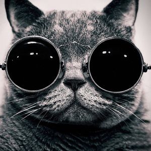 Meet your Posher, Keoma